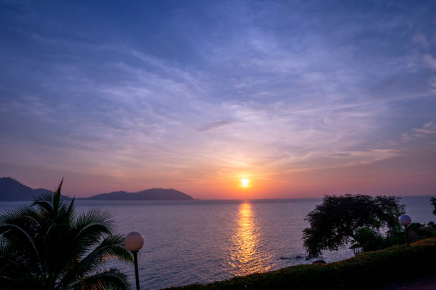 istock Seaside sunset with palm trees. Summer holiday background. 1220175353