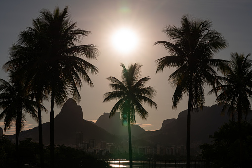 Sun setting over palm trees near Lagoa and Dois Irmaos in Rio de Janeiro