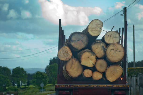 istock Truck loaded with logs . 1220179818