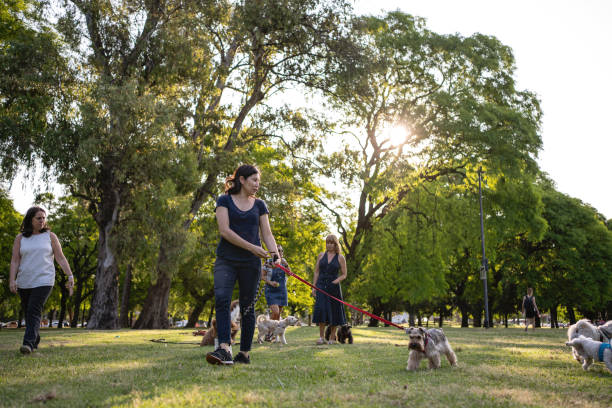 istock Pet owners enjoying fresh air with their dogs 1220180142