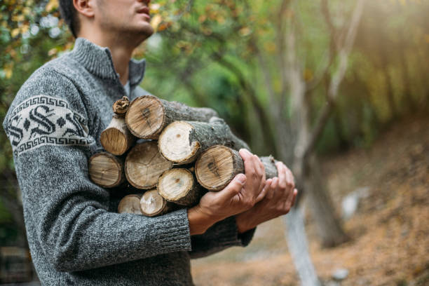 istock Confident lumberjack gathering firewood 1220180412