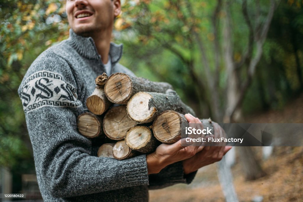 Young adult man gathering firewood in a forest Lumberjack doing lumber work in the forest Firewood Stock Photo