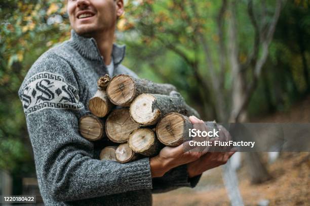 Young Adult Man Gathering Firewood In A Forest Stock Photo - Download Image Now - Firewood, Log, Stack