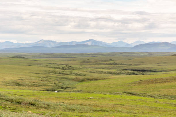 istock Looking across Alaska's arctic towards the Brooks Range. 1220181305