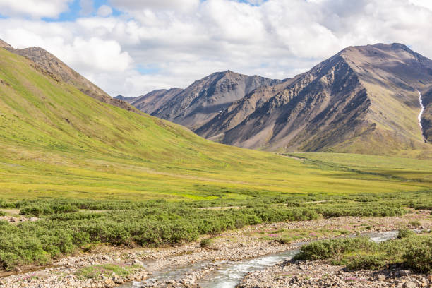 las montañas de la cordillera brooks en el verano justo al sur de antigun pass en el ártico de alaska. - brooks range fotografías e imágenes de stock
