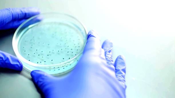 istock a person are making an analyzes  with medical gloves 1220185872