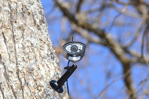 istock Closeup on a video surveillance camera in the forest 1220187561