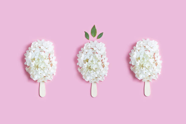 istock summer concept. floral ice cream. white fresh hydrangea flowers on a pink background. flat lay, top view 1220187585