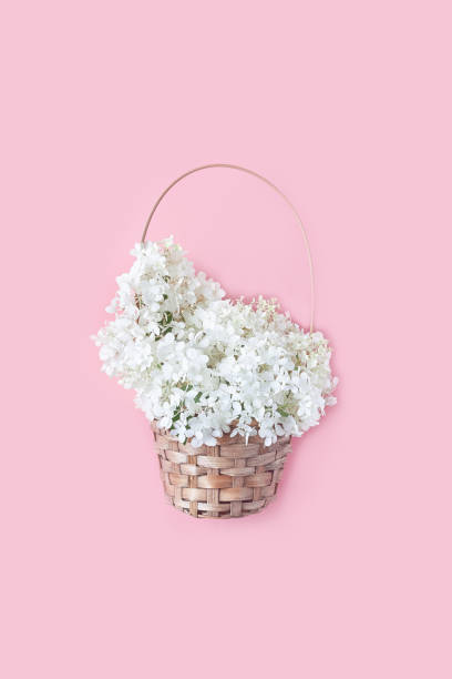 istock summer concept. white hydrangea flowers in a wicker basket on a pink background. flat lay, vertical frame 1220187589