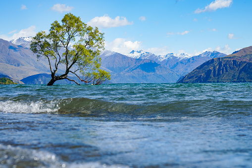 Lake Wanaka, New Zealand.