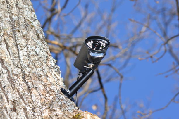istock Closeup on a video surveillance camera in the forest 1220187759