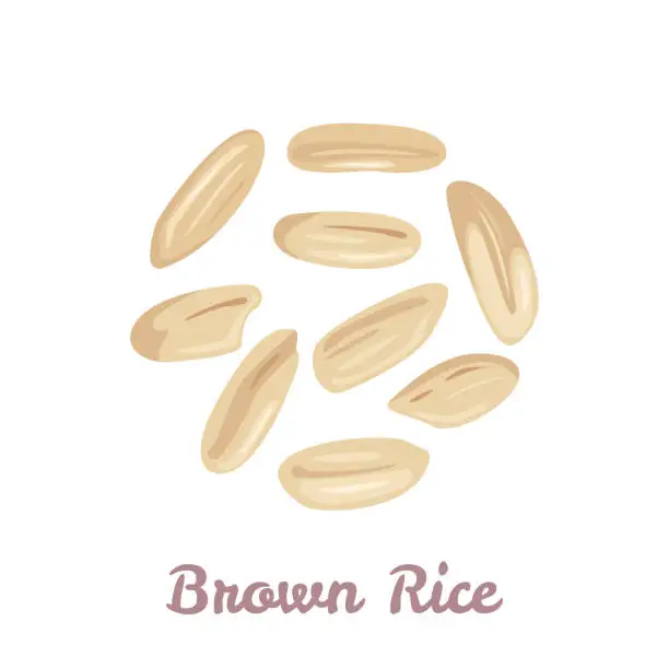 Vector illustration of Brown rice grain isolated on white background. Vector illustration of unpolished rice seeds in cartoon flat style. Healthy organic food icon.