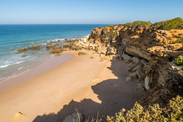 istock Cove pato in Cadiz, Spain 1220189007