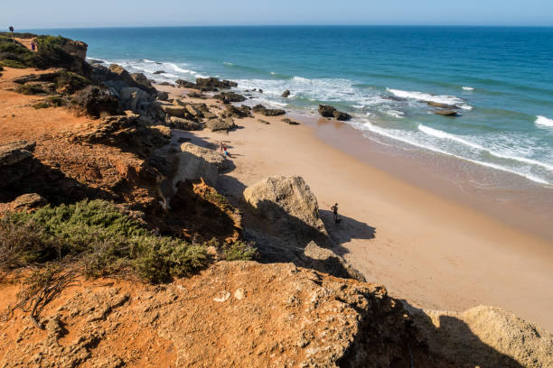 istock Cove pato in Cadiz, Spain 1220189080