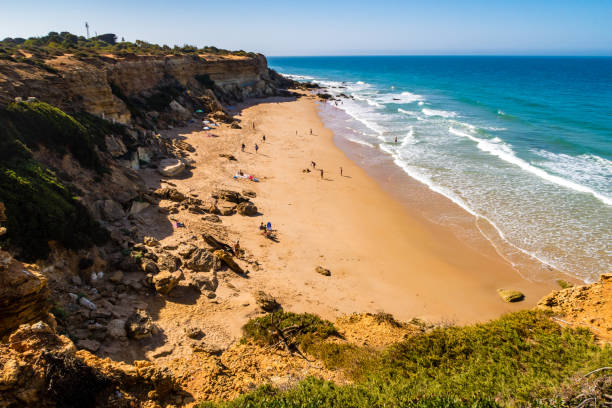 бухты де рош в конил-де-ла-фронтера, кадис - andalusia beach cadiz spain стоковые фото и изображения