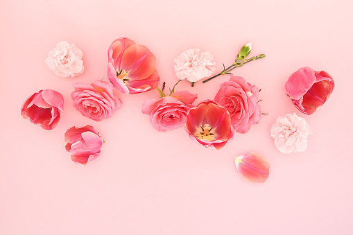 top view of blooming spring flowers on pink background