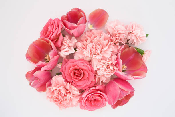 istock top view of pink spring flowers on white background 1220189614