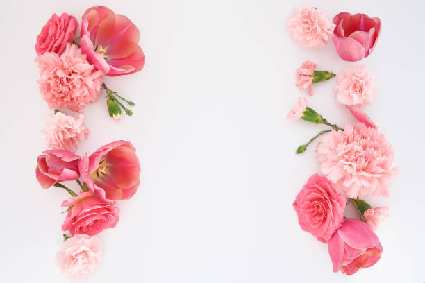 istock top view of pink spring flowers on white background with copy space 1220189615