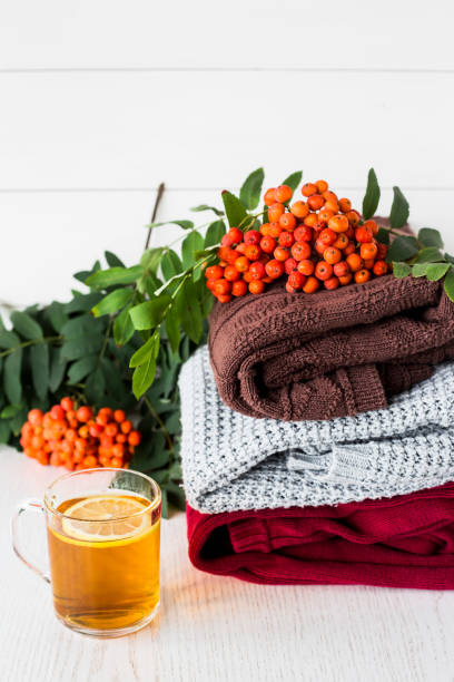 istock A stack of autumn sweaters with rowan and tea on a white background 1220190390