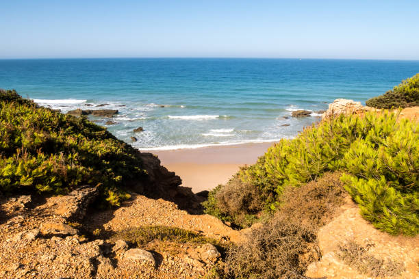istock Coves de Roche in Conil de la Frontera, Cadiz 1220190409