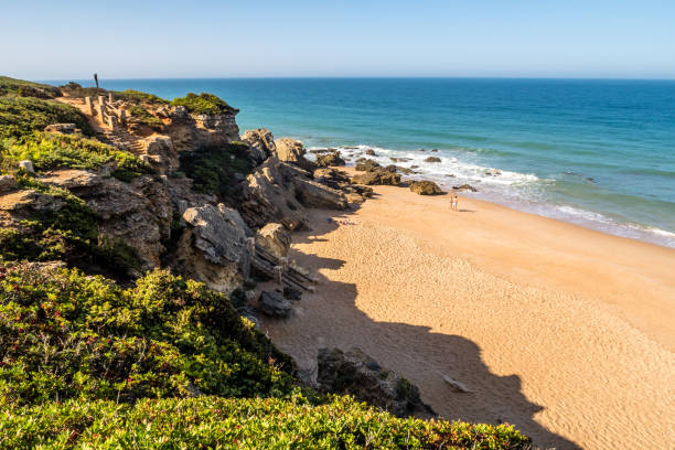 istock puffin cove in Cadiz, Spain 1220190472