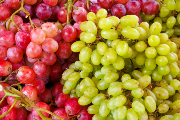 istock Fresh green and red grapes fruits 1220191640