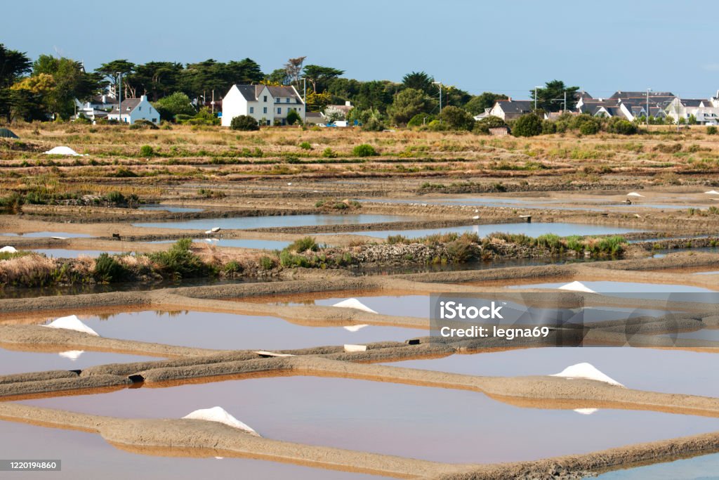 Piles of salt in marsh, in Guerande - France Famous place for handmade production, the salt marshes are located between Guerande, Le Croisic and Batz sur Mer. They provide the typical landscape of this country. Guerande Stock Photo