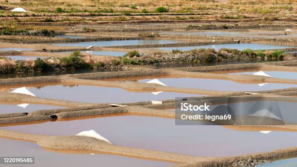 Panoramic View On Piles Of Salt In Marsh In Guerande Fran Stock Photo - Download Image Now