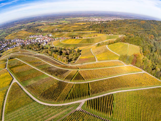 Aerial view of Vanhalt village, fields and vineyards Aerial view of Vanhalt village, fields and vineyards, Baden Baden, Germany baden baden stock pictures, royalty-free photos & images