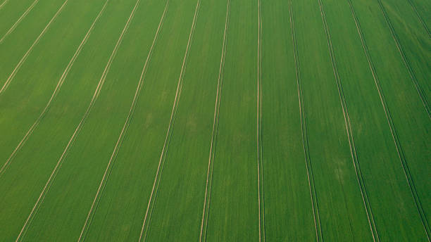 istock landscape with a green field and texturized tracks for farm technick 1220196515