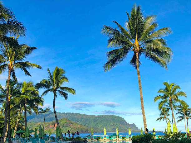istock Hawaii Princeville 1220197265