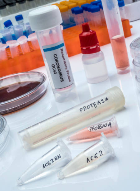 istock Several vials with soluble protease proteins for activation of the coronavirus severe acute respiratory syndrome (SARS) trypsin-like protein in human respiratory tract in a hospital, Spain 1220197751