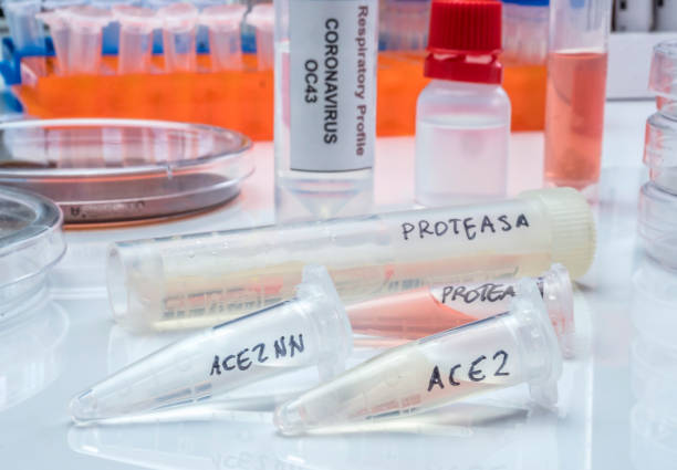 istock Several vials with soluble protease proteins for activation of the coronavirus severe acute respiratory syndrome (SARS) trypsin-like protein in human respiratory tract in a hospital, Spain 1220197754