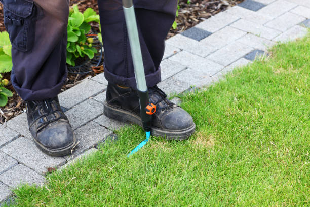 istock Gardening - edging lawn along the foothpath using garden tool 1220200427