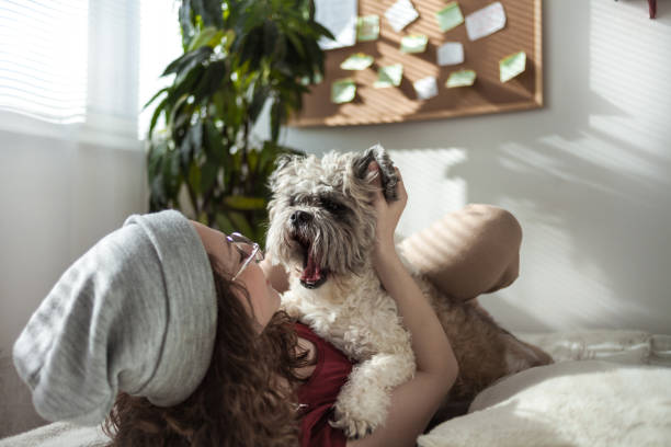 istock Playing with dog at home 1220205491