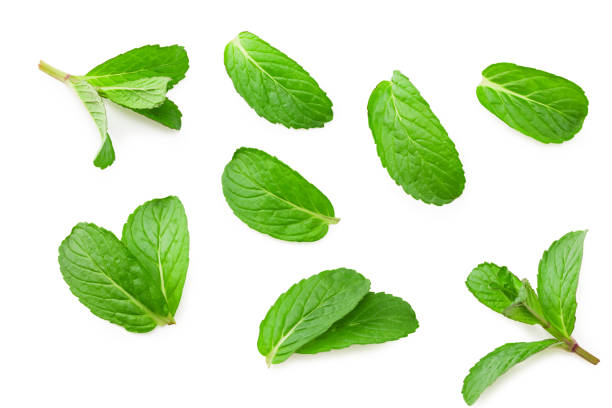 istock Fresh mint leaves isolated on white background. top view 1220209349