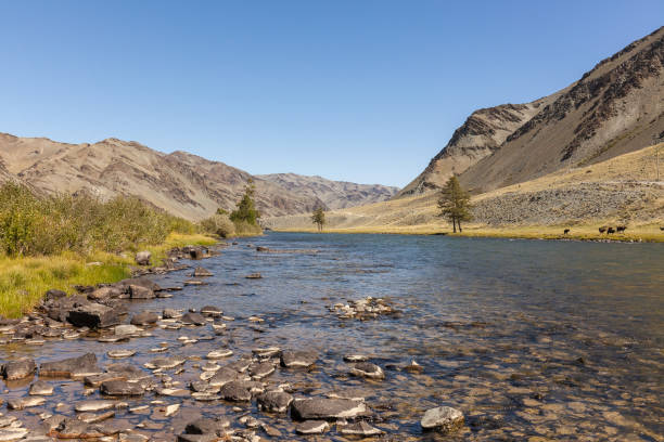 istock Typical landscapes of Mongolia. mountain slopes and valleys. Altai, Mongolia 1220210595