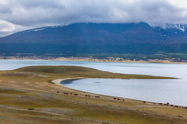 istock Mongolia landscape. Altai Tavan Bogd National Park in Bayar-Ulgii 1220210613