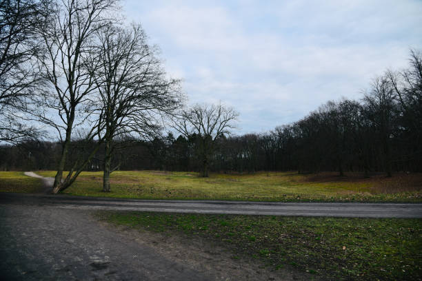 istock Old bare trees with empty streets around a national park in Berlin 1220210979