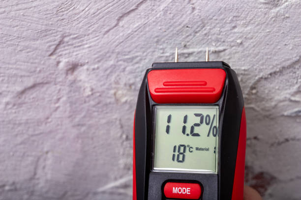 전자 미터를 사용하여 석고 수분 측정. 홈 워크샵에서 측정. 라이트 배경. - mold basement house wet 뉴스 사진 이미지