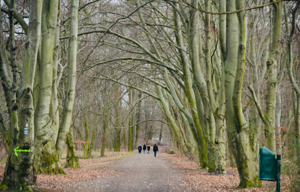 istock People walking around a parkway in Berlin Germany unique photo 1220212722
