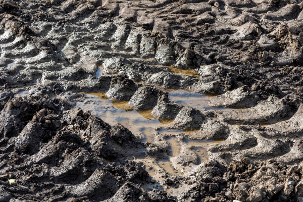 tractor tire tracks in the mud - dirt road textured dirt mud imagens e fotografias de stock
