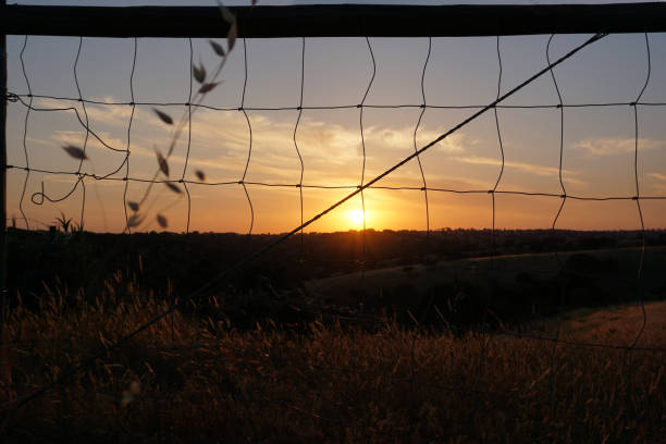 istock Sunset in Alentejo 1220213798