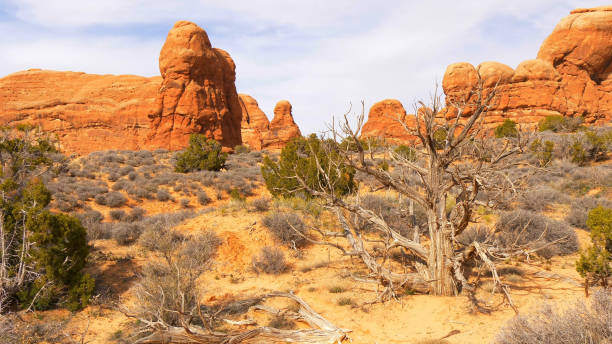istock Arches National Park in Utah - famous landmark 1220215867