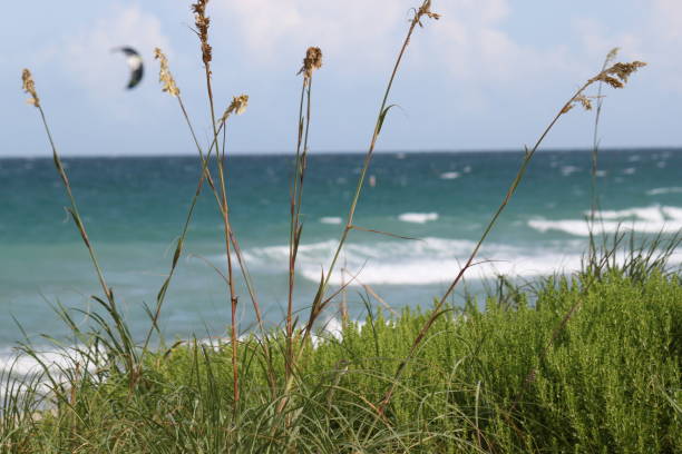 istock Fort Lauderdale, Florida 1220218654