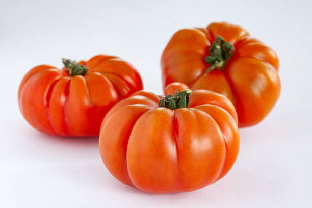 istock Fresh Italian pisanello tomatoes on white background. Close-up image with selective focus. 1220219961