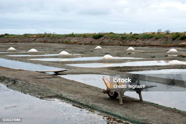 Salt Marshes In Guerande France Stock Photo - Download Image Now - Brittany - France, Guerande, Marsh