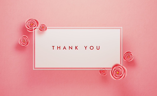 Pink roses and Thank You message over pink background. Horizontal composition with copy space.