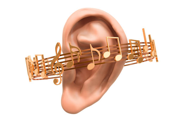 istock Ear with music notes around, 3D rendering isolated on white background 1220222535