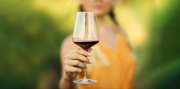 Woman hand holding glass of red wine with Blurred vineyard background. Copy space.